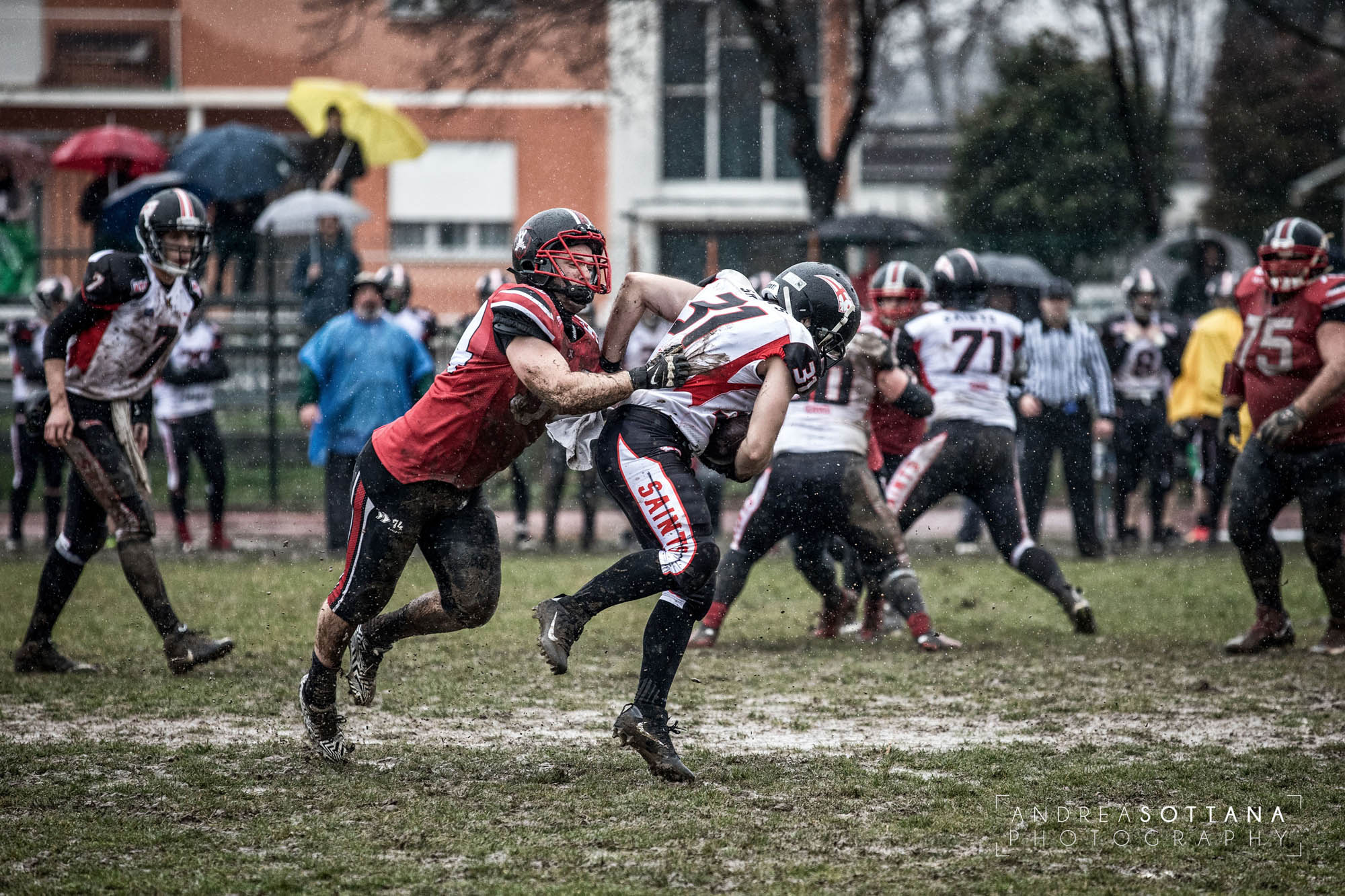Foto SPORT Castelfranco Veneto Castelfranco Veneto Cavaliers Castelfranco Veneto