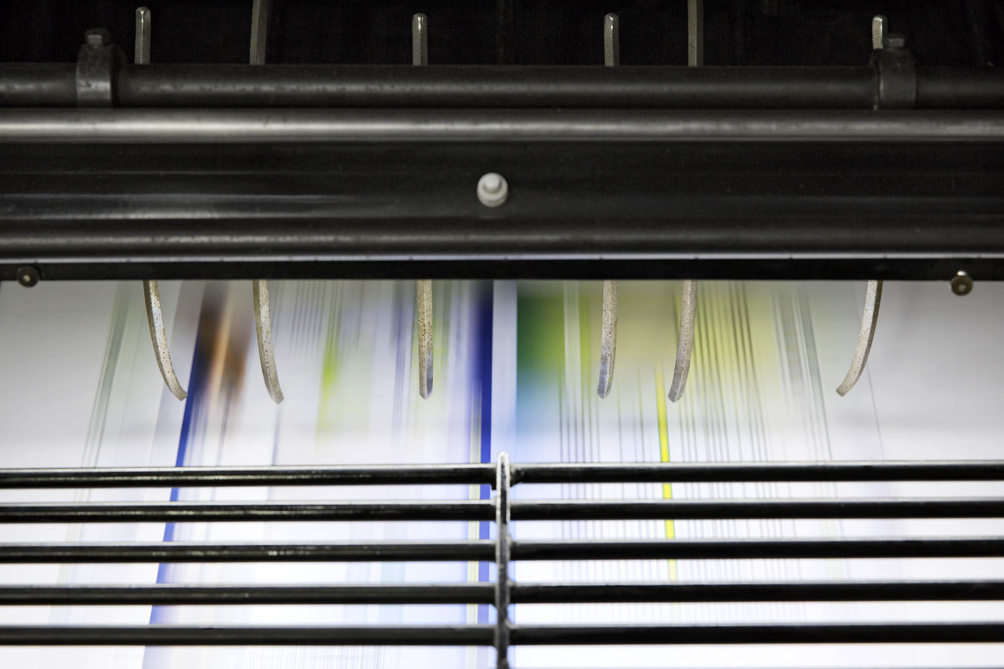 Foto CORPORATE Asolo  G.S. Stampa