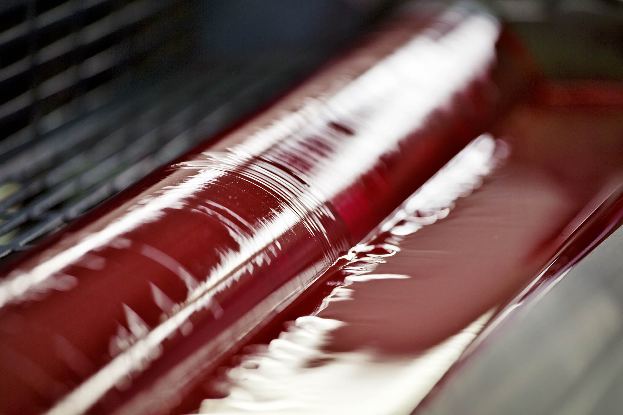 Foto CORPORATE Asolo  G.S. Stampa