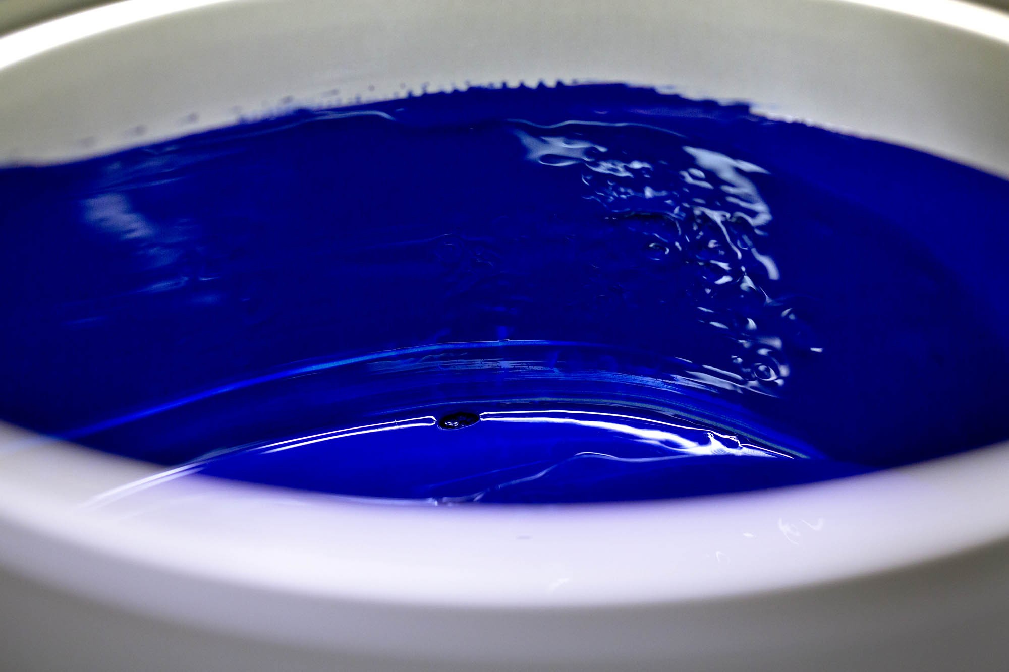 Foto CORPORATE Asolo  G.S. Stampa