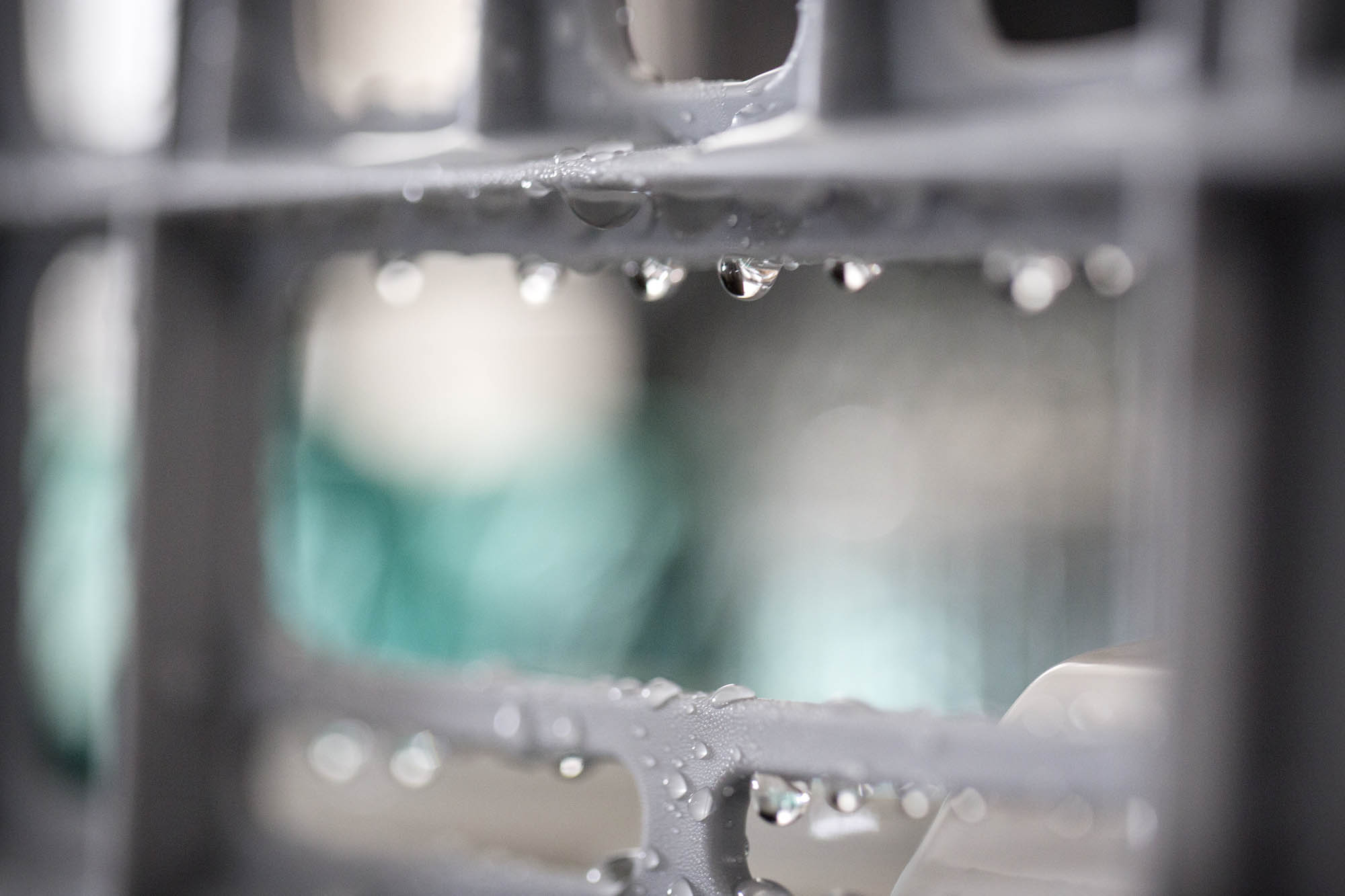 Foto CORPORATE  Sistema Project Sistema Project | Lavastoviglie professionali ed industriali