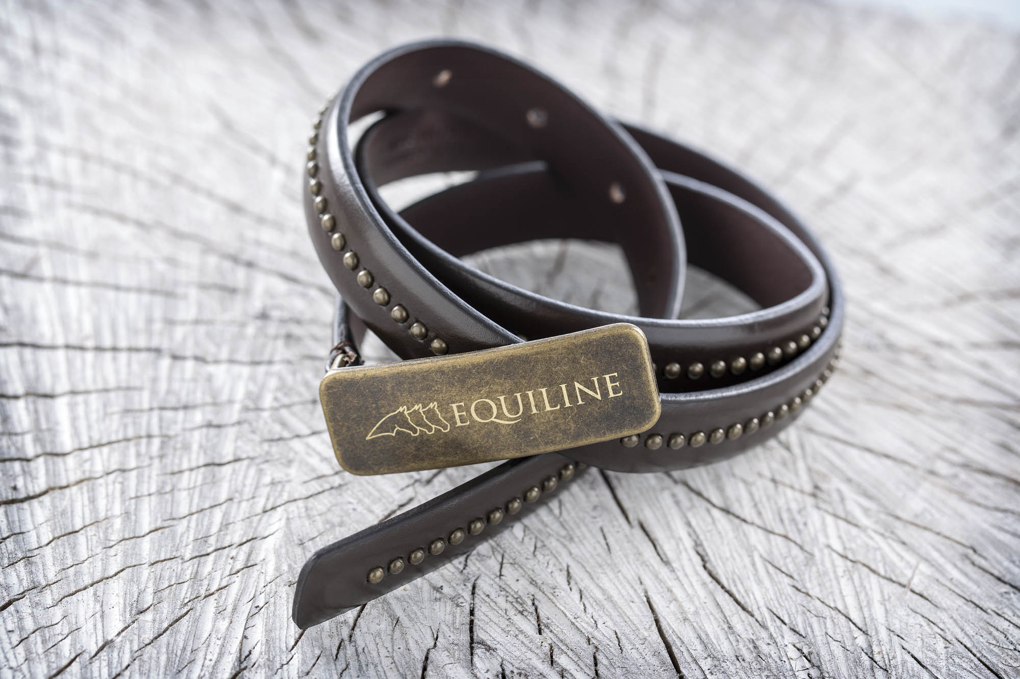 Foto FASHION Trebaseleghe Equiline Equiline