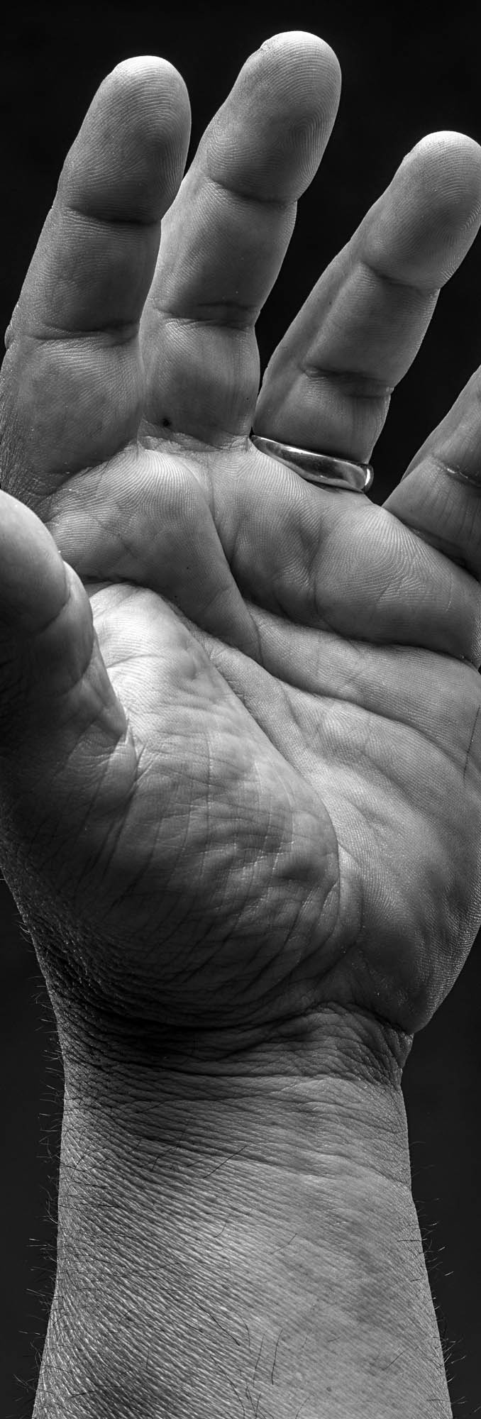 Foto PORTRAIT   Cazzaro Costruzioni