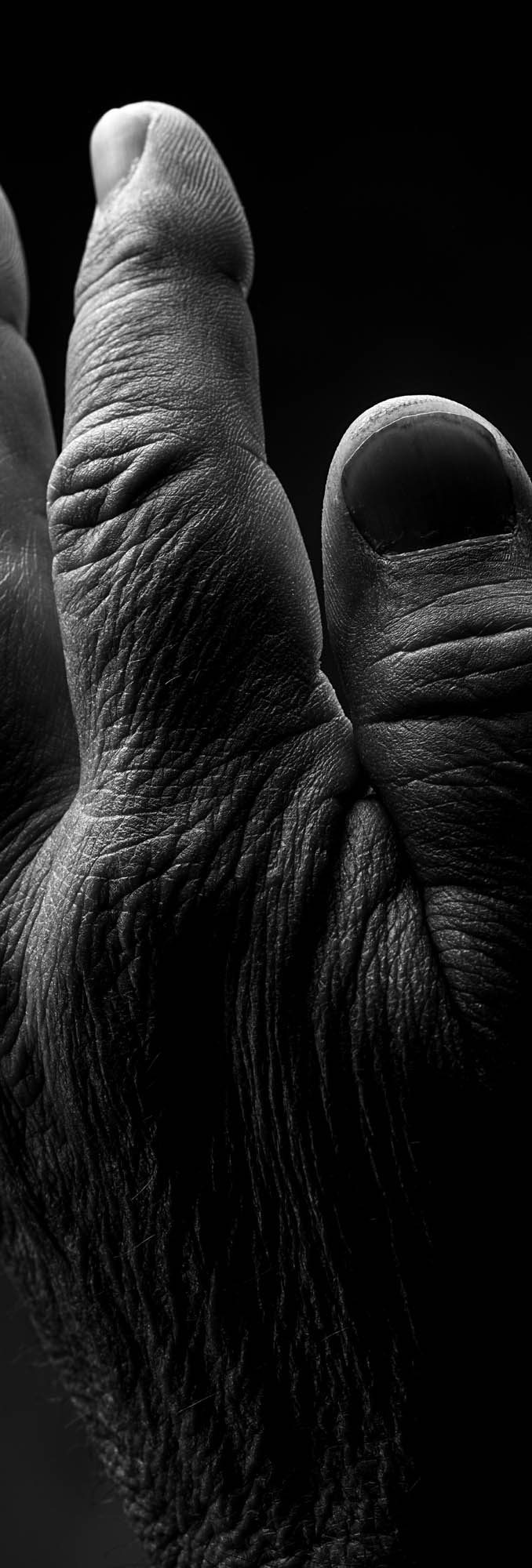 Foto PORTRAIT   Cazzaro Costruzioni