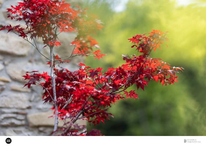 Foto ARCHITETTURA Piacenza Sariano di Gropparello Beyond Properties